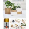 Pinty plus Akryl spray P151 Guld