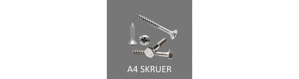 Skruer A4