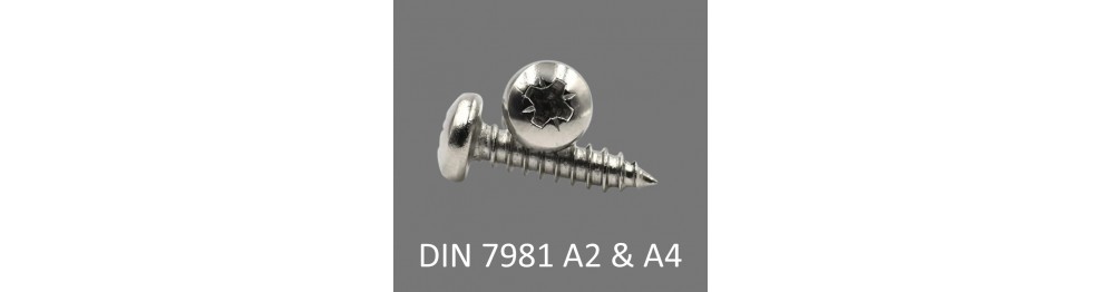 DIN 7981 Pladeskrue A2 og A4